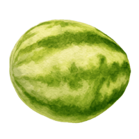 MelonRP Logo